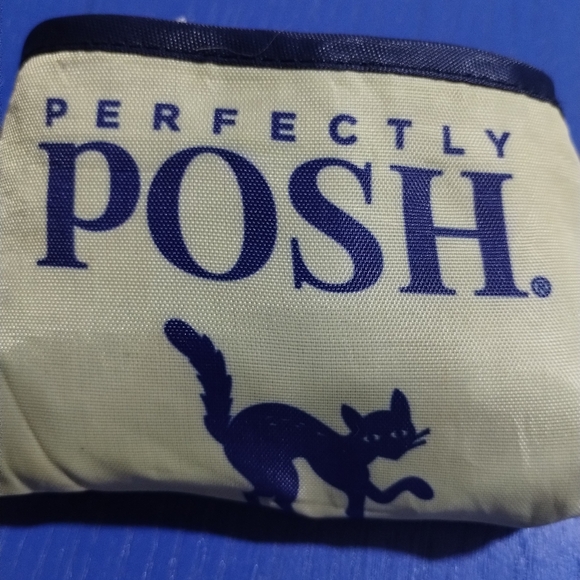 Perfectly posh reusable fold up shopping bag Halloween tote limited edition - Picture 5 of 7